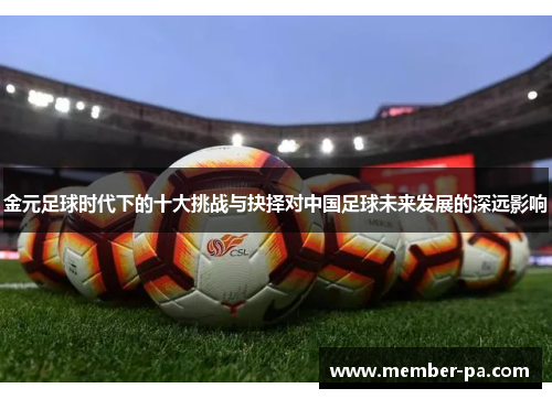 金元足球时代下的十大挑战与抉择对中国足球未来发展的深远影响