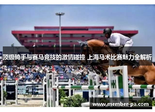 顶级骑手与赛马竞技的激情碰撞 上海马术比赛魅力全解析