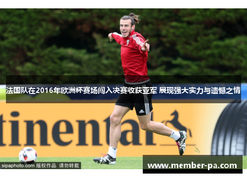 法国队在2016年欧洲杯赛场闯入决赛收获亚军 展现强大实力与遗憾之情